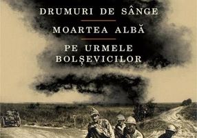 Campania anilor 1916–1918