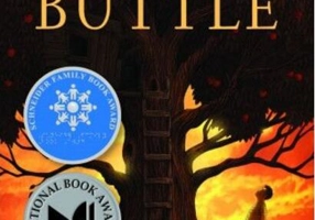 Adevărul lui Mason Buttle