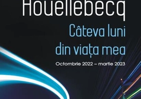 Câteva luni din viaţa mea