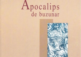 Apocalips de buzunar