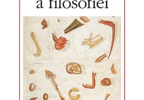 Restul ca problemă a filosofiei