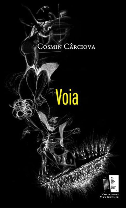 Voia