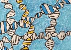 Despre redistribuire şi recunoaştere. O controversă politico-filosofică