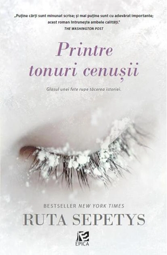 Printre tonuri cenușii