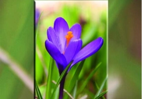 Ai încredere în propriile instincte