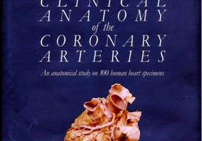 The Clinical Anatomy of the Coronary Arteries. An Anatomical study on 100 human heart specimens