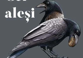 Cei aleși și cei damnați