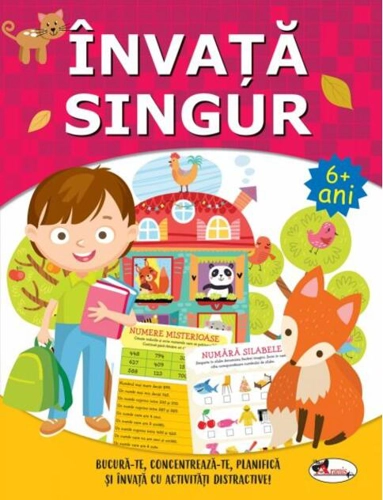 Învață singur. Carte de activitățI +6