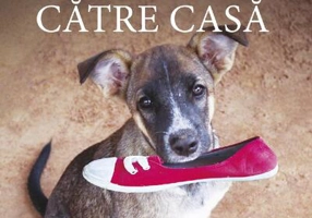 Drumul unui câine către casă (Vol. 2)