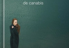 Rămâi insula mea de canabis