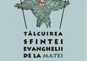 Tâlcuirea Sfintei Evanghelii de la Matei (Vol. 1)