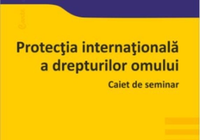 Protecția internațională a drepturilor omului