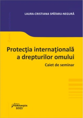 Protecția internațională a drepturilor omului