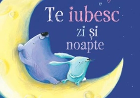 Te iubesc zi și noapte