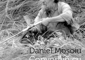 Acordul fin. Convorbiri cu Alexandru Vlad