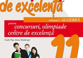 Matematică de excelență. Pentru concursuri, olimpiade și centrele de excelență. Clasa a XI-a. Vol. 1 Algebră