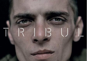 Tribul