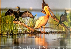 Delta Dunării | The Danube Delta