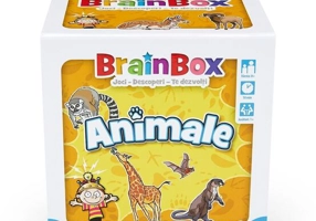 BrainBox - Animale