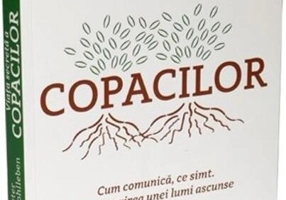 Viața secretă a copacilor