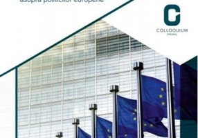 Perspective românești asupra politicilor europene. Programele electorale ale partidelor românești la alegerile europene din 2014