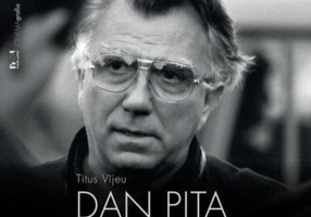 Dan Piţa. Arta privirii