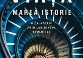 Viața. Marea Istorie