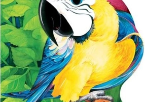 Papagalul. Primii paşi