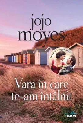 Vara în care te-am întâlnit