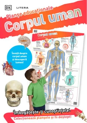 Corpul uman. Planșe educaționale