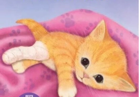 Caramel, un pisoi curajos