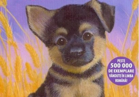 Barney, un cățeluș curajos