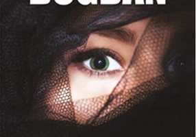 Văduva neagră Vol.4 Seria Vagabond