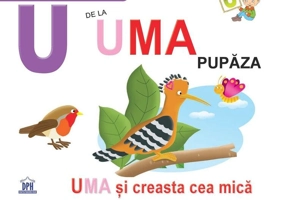 U de la Uma, pupăza
