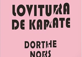 Lovitura de karate