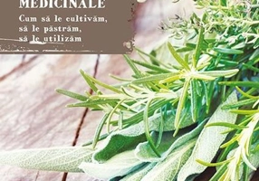 Grădina mea cu plante medicinale