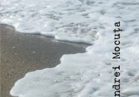 Voi folosi întunericul drept călăuză