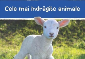 Cele mai îndrăgite animale