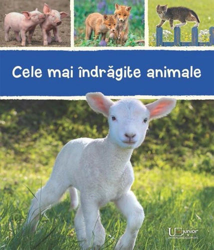 Cele mai îndrăgite animale