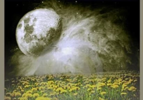 Omul sămânţă sau noua spiritualitate