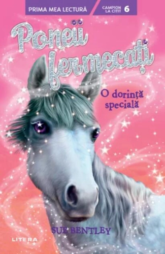 O dorință specială (Vol. 2)