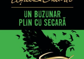 Un buzunar plin cu secară