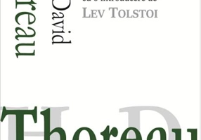 Walden sau Viața în pădure