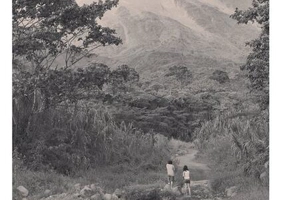 Dos semanas con los ticos