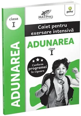 Adunarea. Caiet pentru exersare intensivă. Clasa I