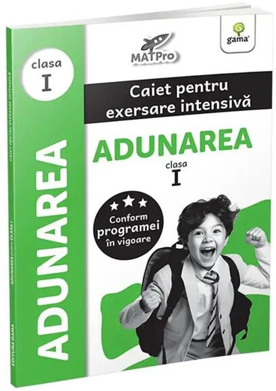 Adunarea. Caiet pentru exersare intensivă. Clasa I