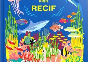 Sari și scufundă-te prin recif