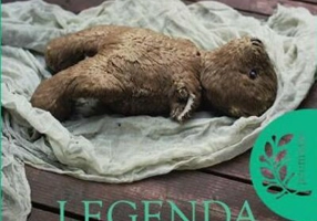 Legenda unei sinucideri