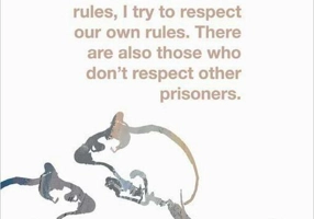 Revista IDEA artă+societate, nr. 48 (2015)