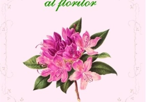 Limbajul romantic al florilor